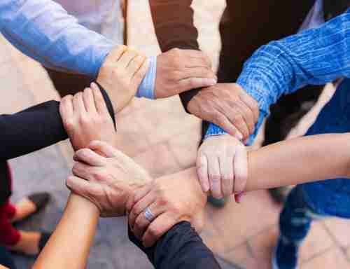 成为彩运网的一份子