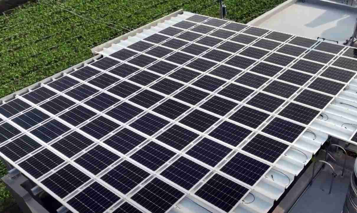 彩运网SunSteel光电浪板升级双玻结构，，，，以提升机械负载强度及气候耐候度，，，可广泛运用于多元场域