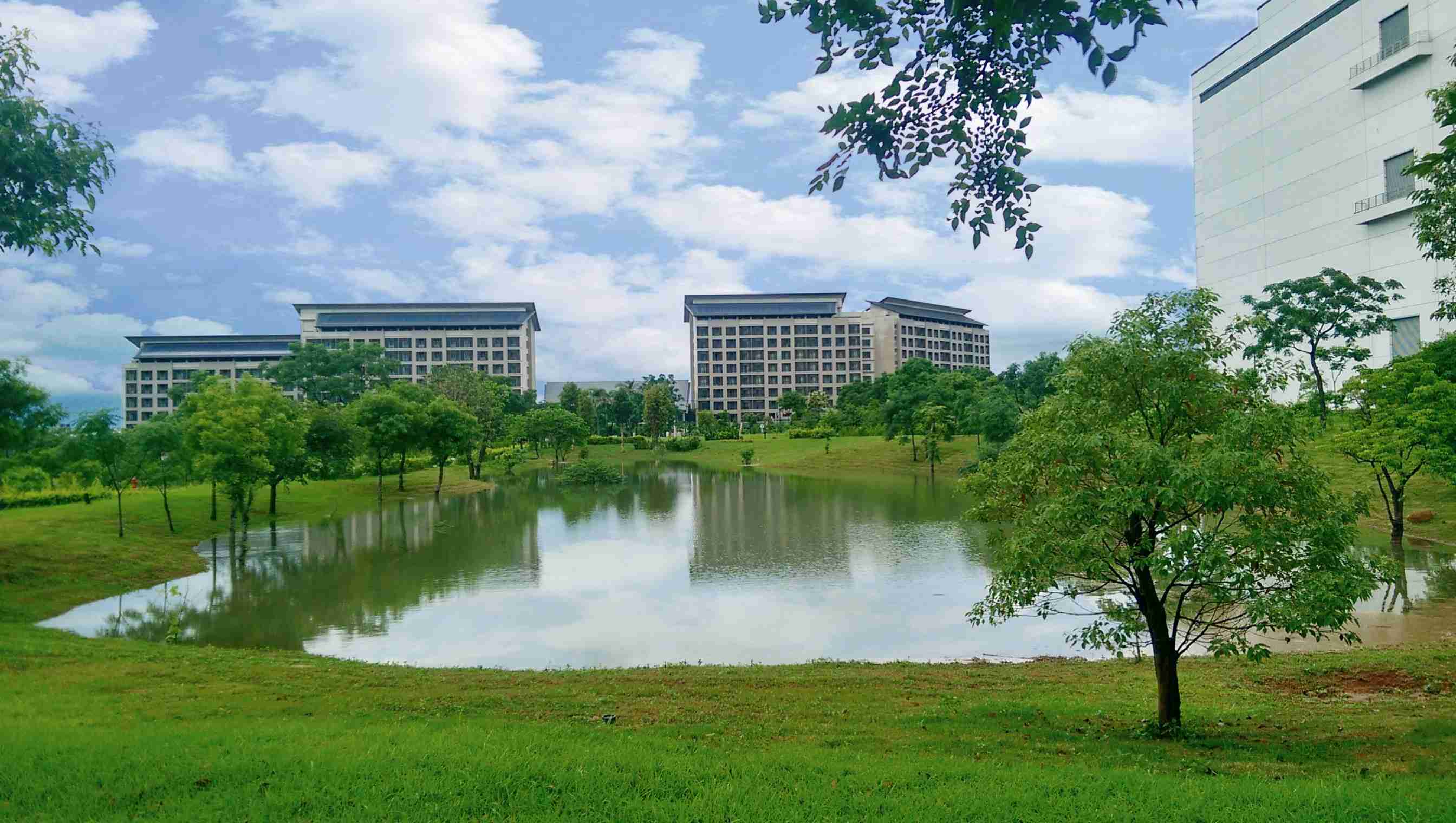 彩运网响应国际倡议生物多样性趋势，，，首次发布TNFD自然相关财务揭露报告书，，，擘划及开展彩运网生物多样性政策之承诺，，，，逐步迈向与自然和谐共生