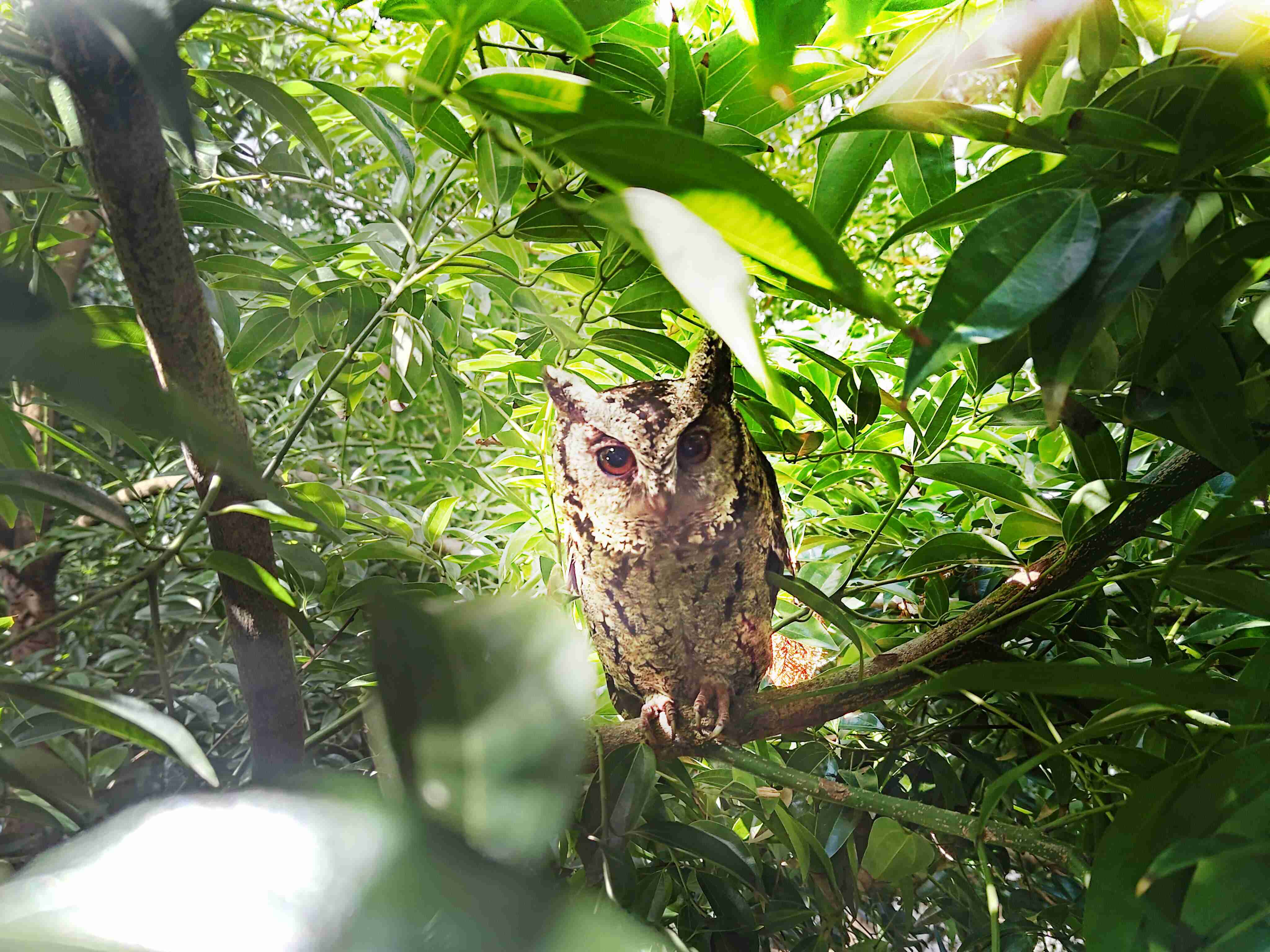 彩运网致力提倡净零绿生活，，16年以来在全球各厂区植树逾百万棵，，，，造就各厂区树木蔚然成林，，犹如森林工厂，，，，成为许多生物的栖息地